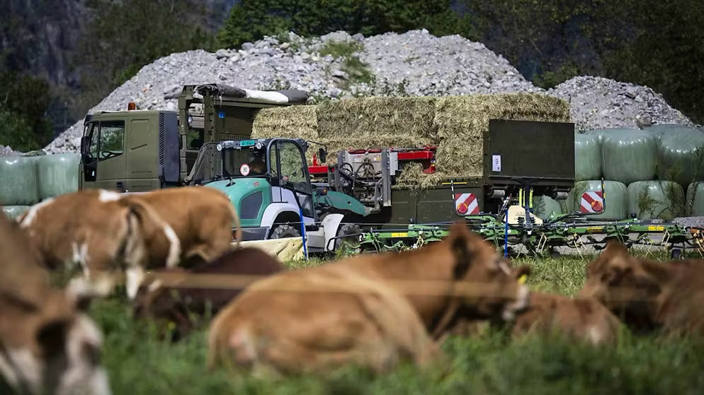 Fieno Mesolcina 9df76