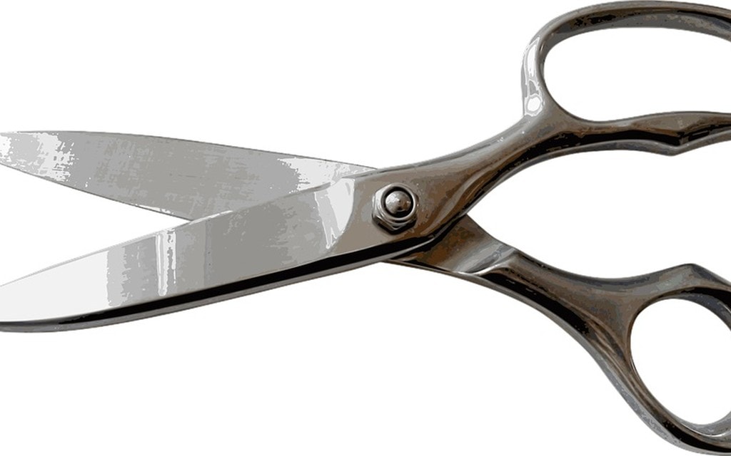Forbice Jpg Dc438