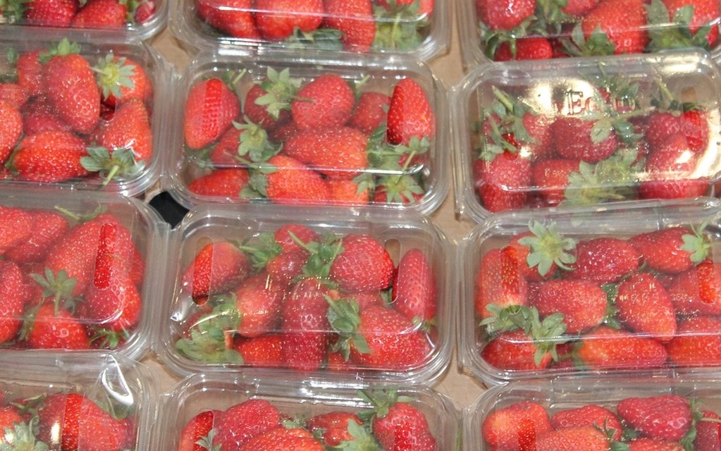 Fragole Scatole Eef8d