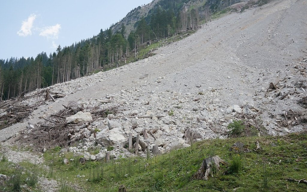 Frana Generica F1d84