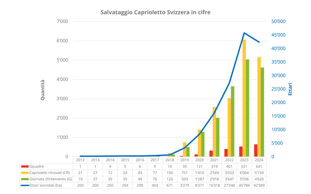 Grafico Capriolo 2024 547ac
