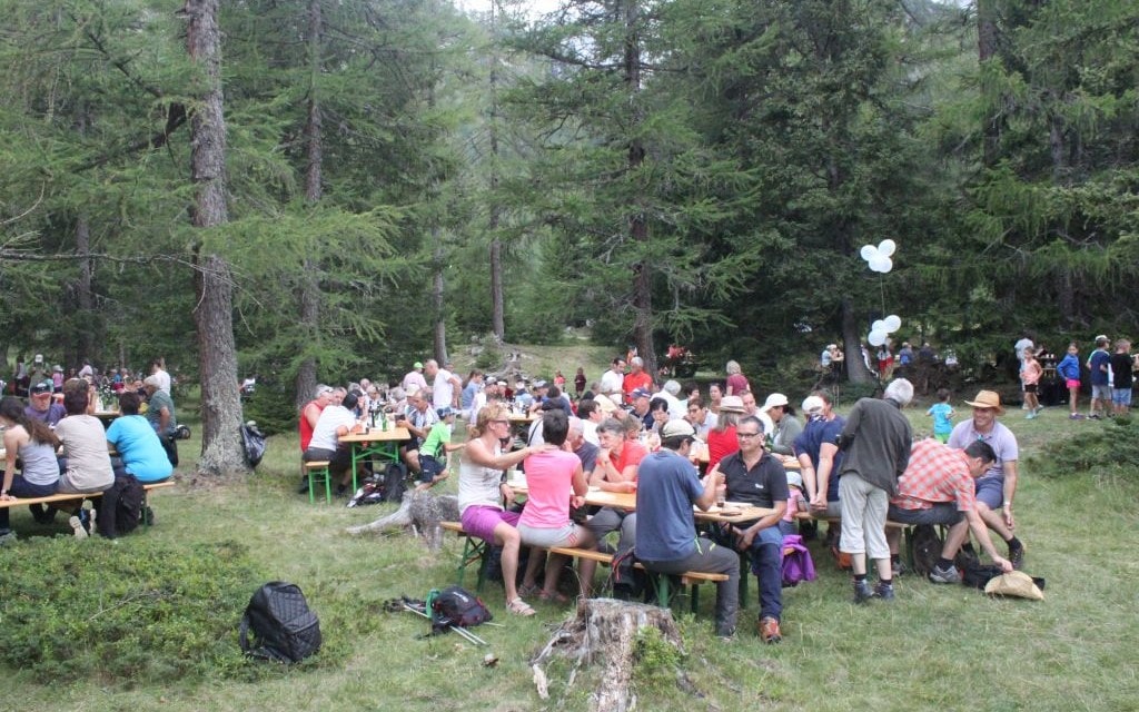 Gruppo Cavaia Polenta C23dc