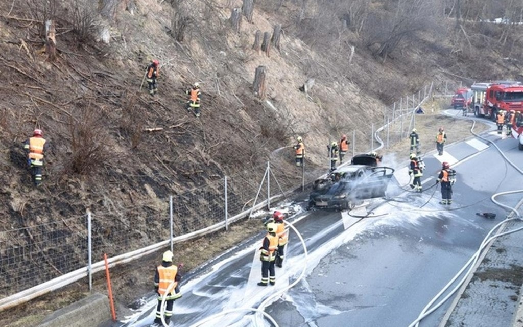 Image 20190311phf9176 19d55