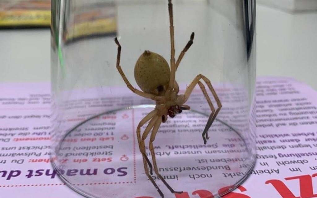 Image 20190411phf9152 A3246