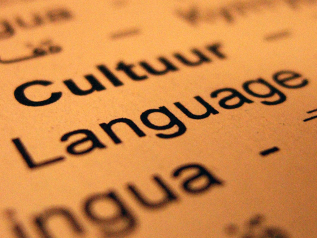 Linguaggio Cultura 700 15c35