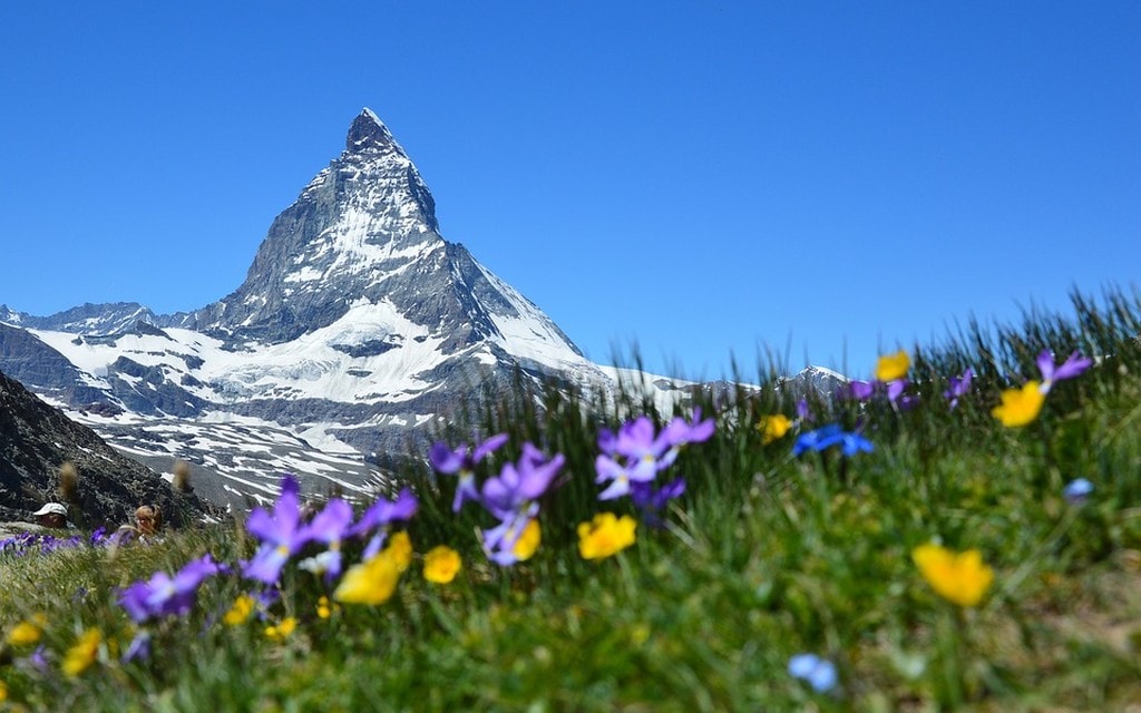 Montagna Svizzera Primavera 575b0