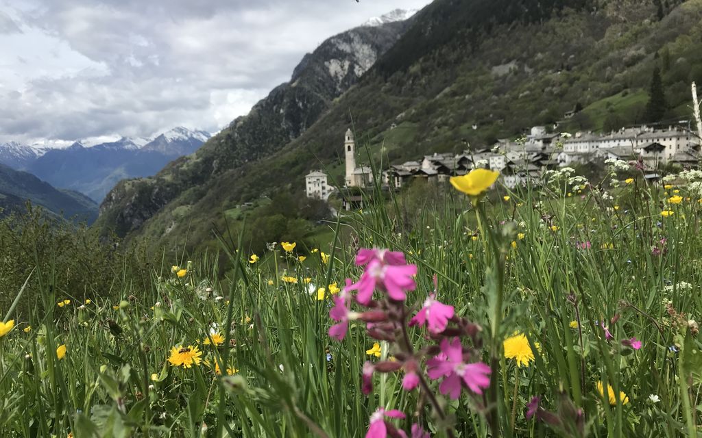 Soglòio Primavera 2020 860a2