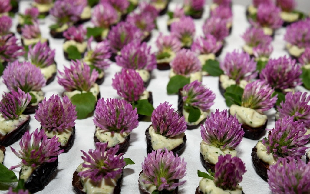 Tartine Mariagrazia E6766