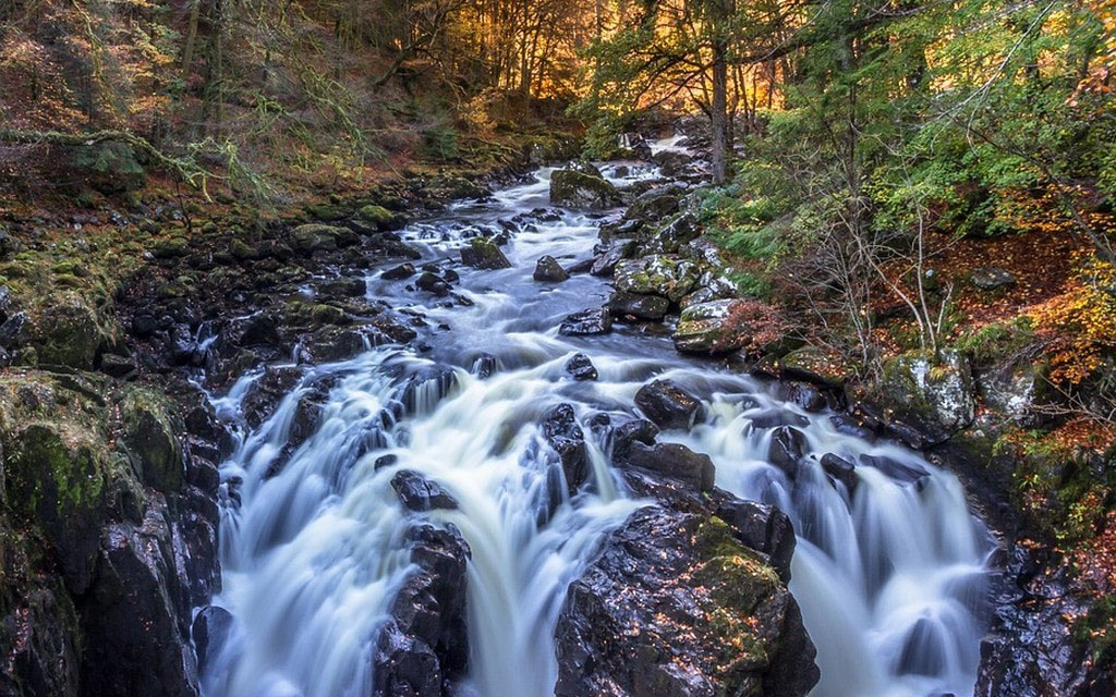 Torrente Bosco A872c