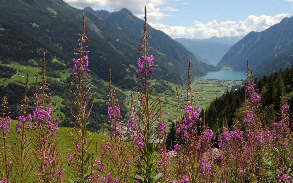 Valposchiavo 1 5d84a