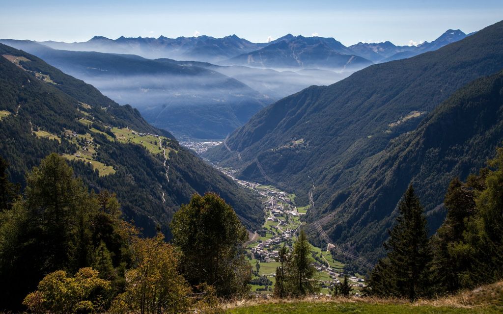 Valposchiavo Entdecken Gletschernpalmen D7777