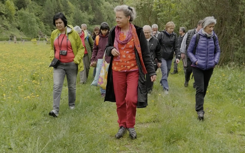 Video Festioval Erbe 2018 47414