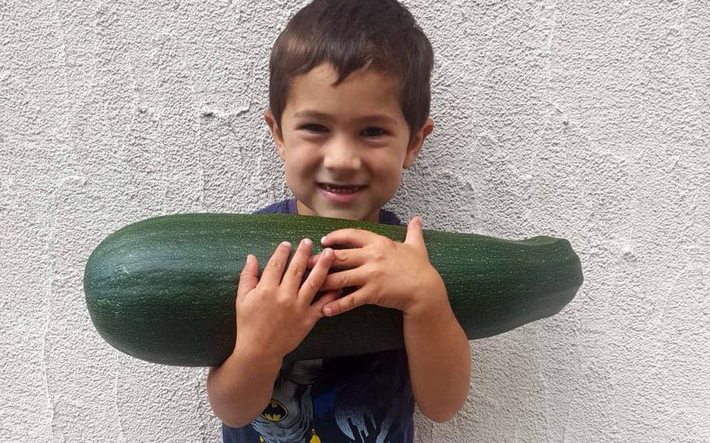 Zucchina Gigante Bambino 53926