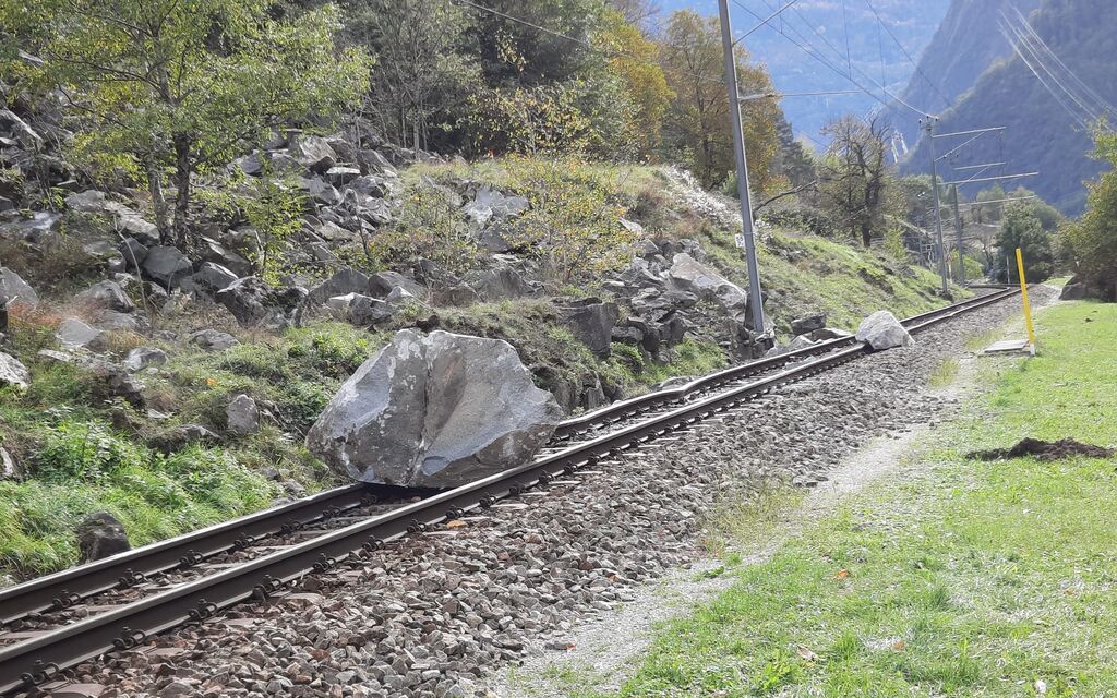 Ed90cc1e D11d 47e9 B09e 26d420d809b3 0b92d