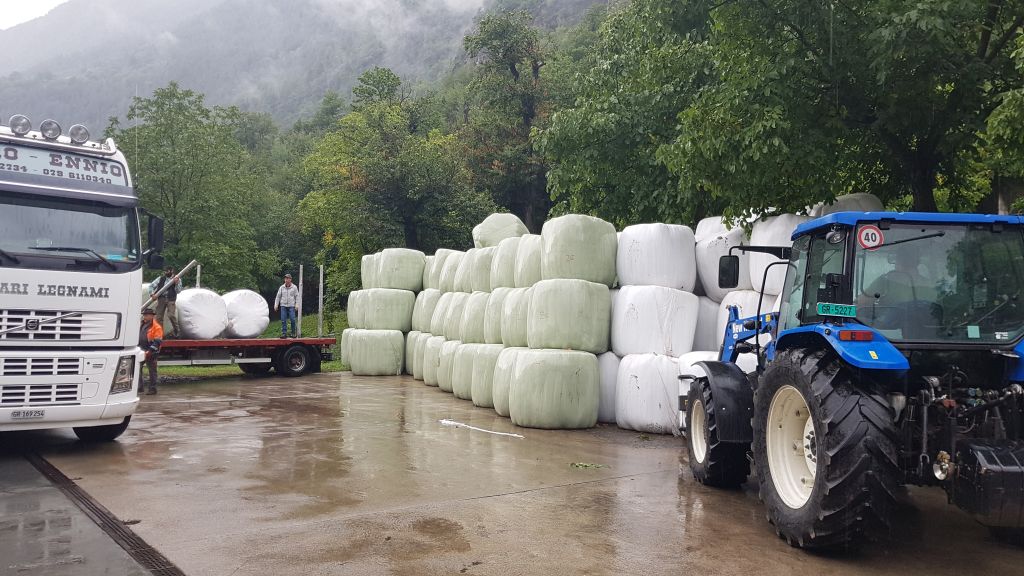 UCBazionedisolidarieta_2018_01_002.jpg Res 1105 144d7dd4fb1f4561999de672aebc2b57