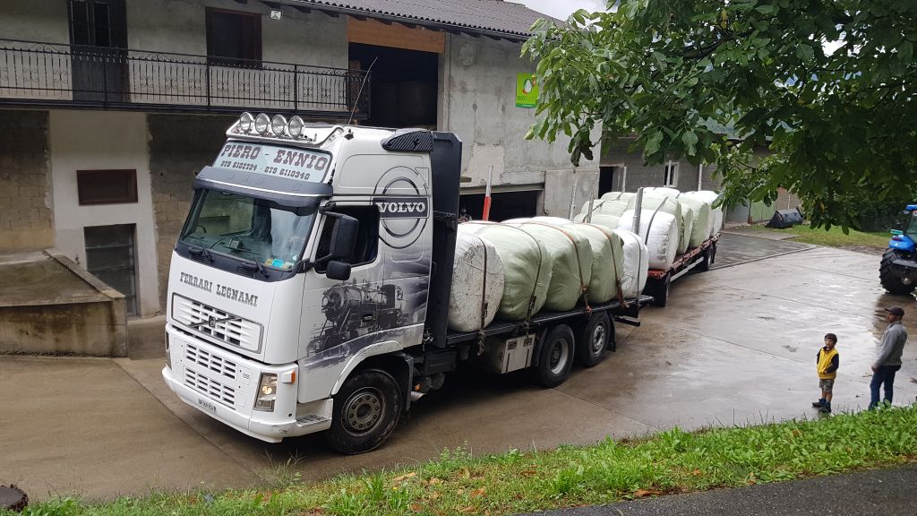 UCBazionedisolidarieta_2018_01_001.jpg Res 1105 8c500299d173913810f8c8f55d94b356