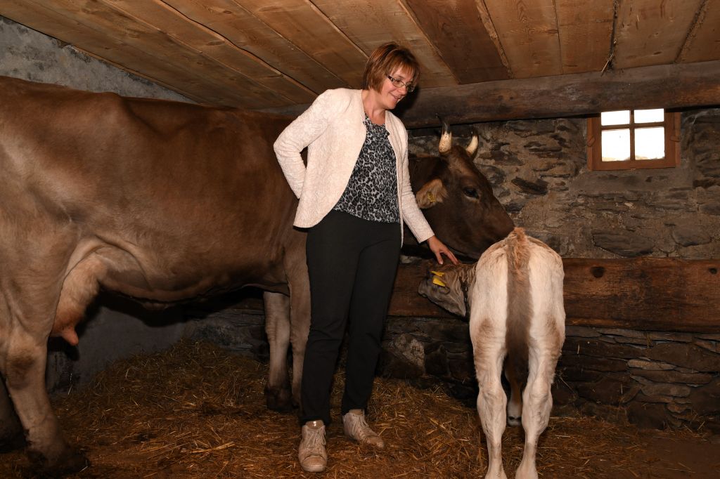 DSC_5938.jpg Res 1273 3fa405530839d5ac62e235a32b65fa28