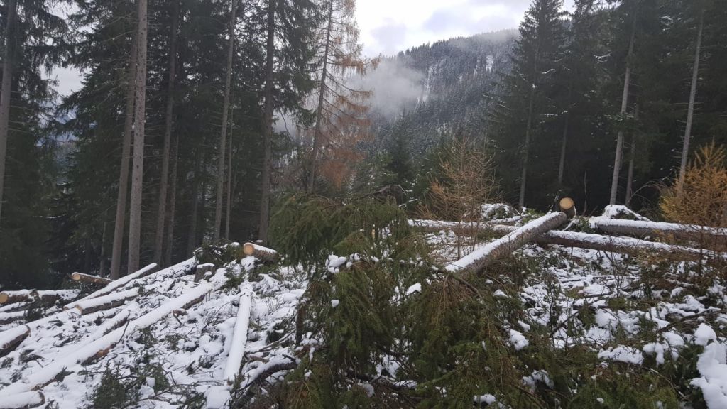 Corsoapprontamentolegnamedatempesta_2018_01_011.jpg Res 1422 1f401cb32a18b5ea0dc3b7587d592f22