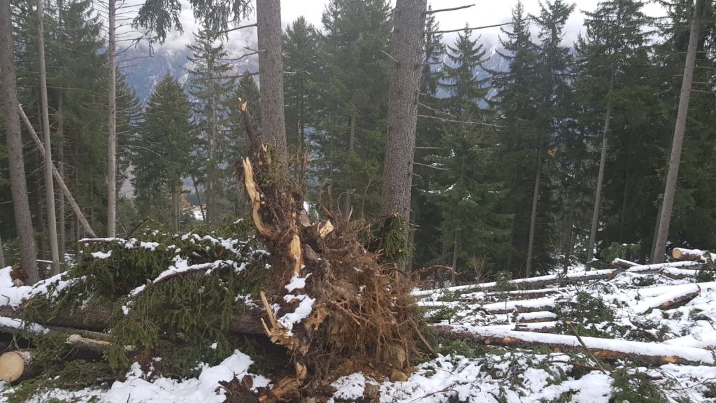 Corsoapprontamentolegnamedatempesta_2018_01_005.jpg Res 1422 3e16e661522eceaca2a5e13659155215