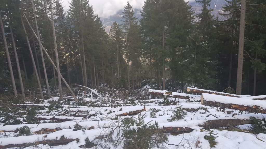 Corsoapprontamentolegnamedatempesta_2018_01_003.jpg Res 1422 40ca63a4bade4d607d6978848ca956ff