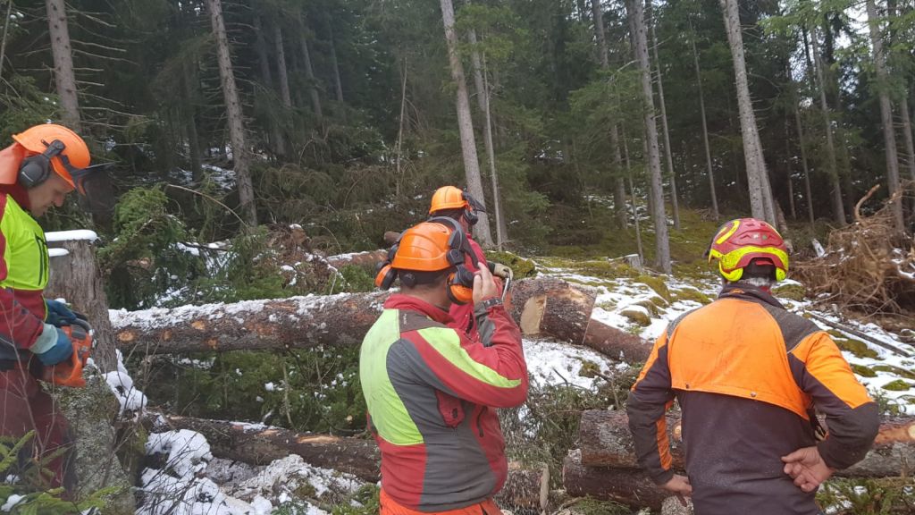 Corsoapprontamentolegnamedatempesta_2018_01_008.jpg Res 1422 5da79bad47a520a9b35e50dcbb13e50d