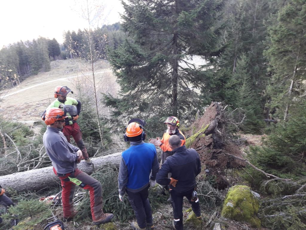 Corsoapprontamentolegnamedatempesta_2018_01_004.jpg Res 1422 602b4f134ef66c1a27d51d8872c60b79