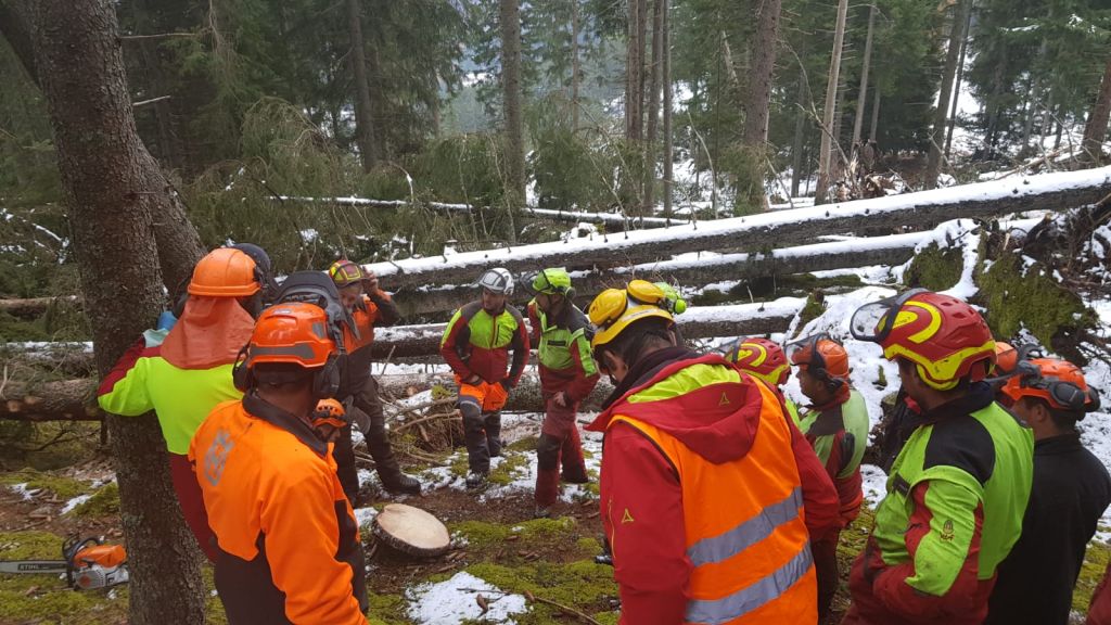 Corsoapprontamentolegnamedatempesta_2018_01_006.jpg Res 1422 7c5d1071b4094e56b96d9fda4964c9e0