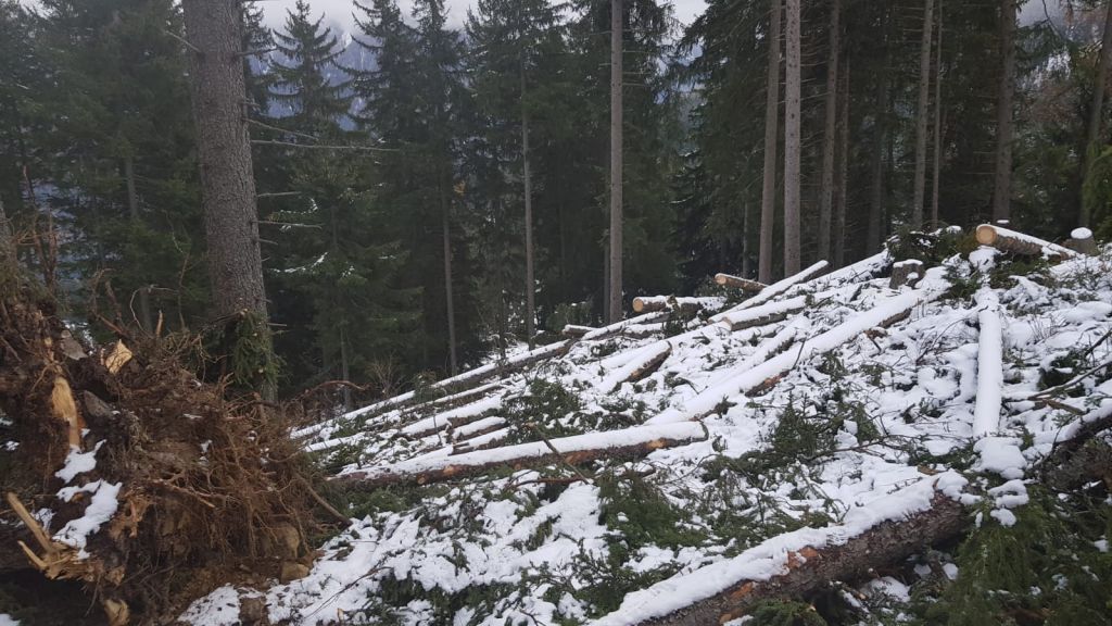 Corsoapprontamentolegnamedatempesta_2018_01_010.jpg Res 1422 Dbba21fb6ced46faf60bdbc29cacd600