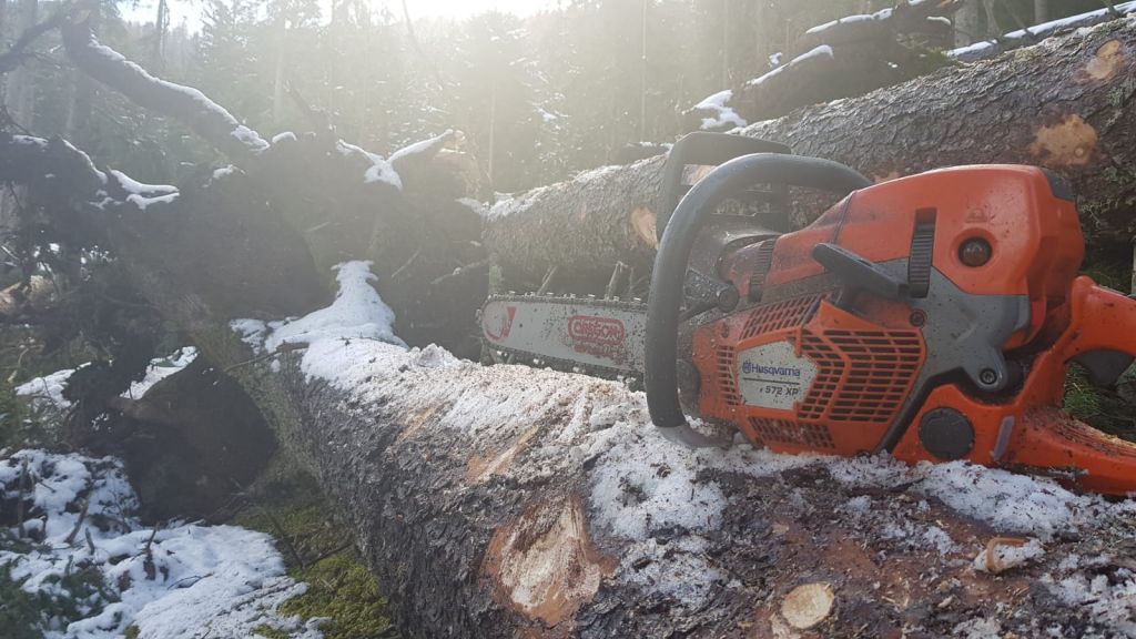 Corsoapprontamentolegnamedatempesta_2018_01_012.jpg Res 1422 Dbfe10b1177d5ad4dab1703184a41626