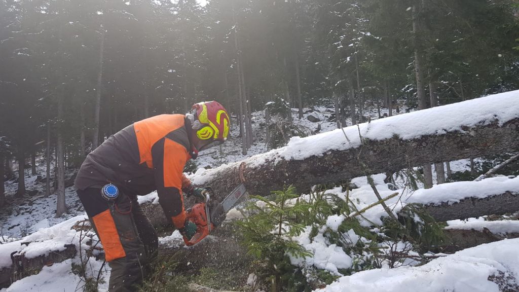 Corsoapprontamentolegnamedatempesta_2018_01_002.jpg Res 1422 F3f933f3ad410978fffb1fa7a007bc43