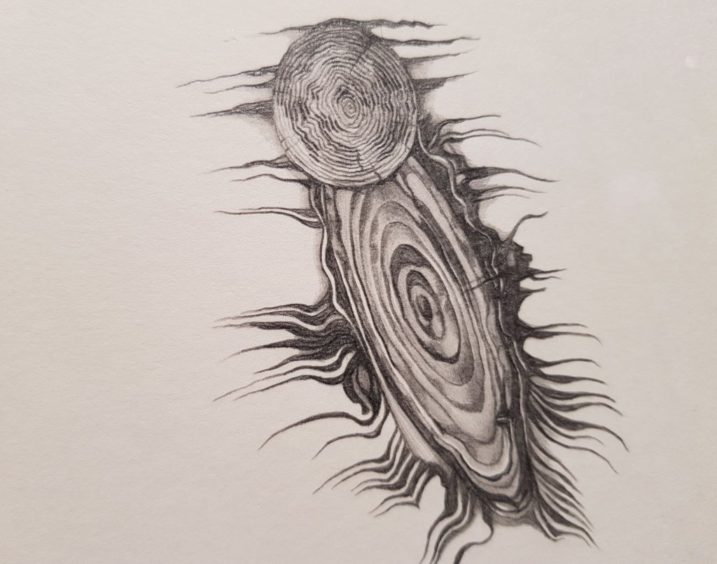 pgi07.jpg Res 1505 B02c135394da39fb86f4621b5a7eb5a1