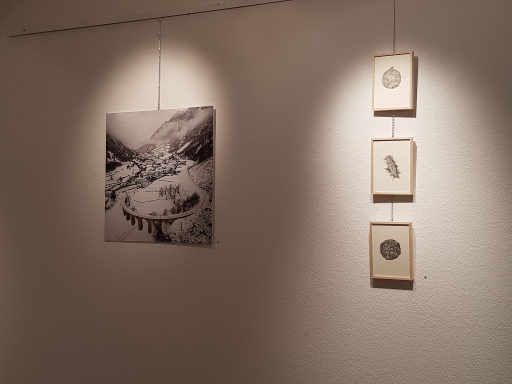 pgi06.jpg Res 1505 F8152b2790f958f6e263cf2199596a01