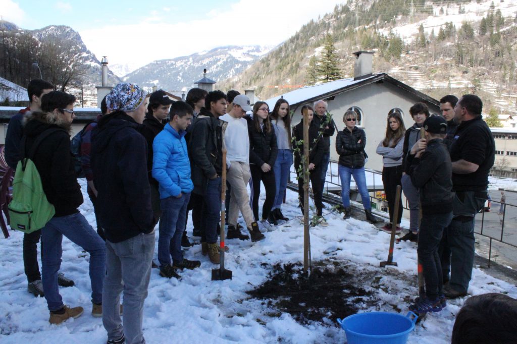 IMG_2772.jpg Res 1846 098dea938ea137fabbc7c939b38552b6