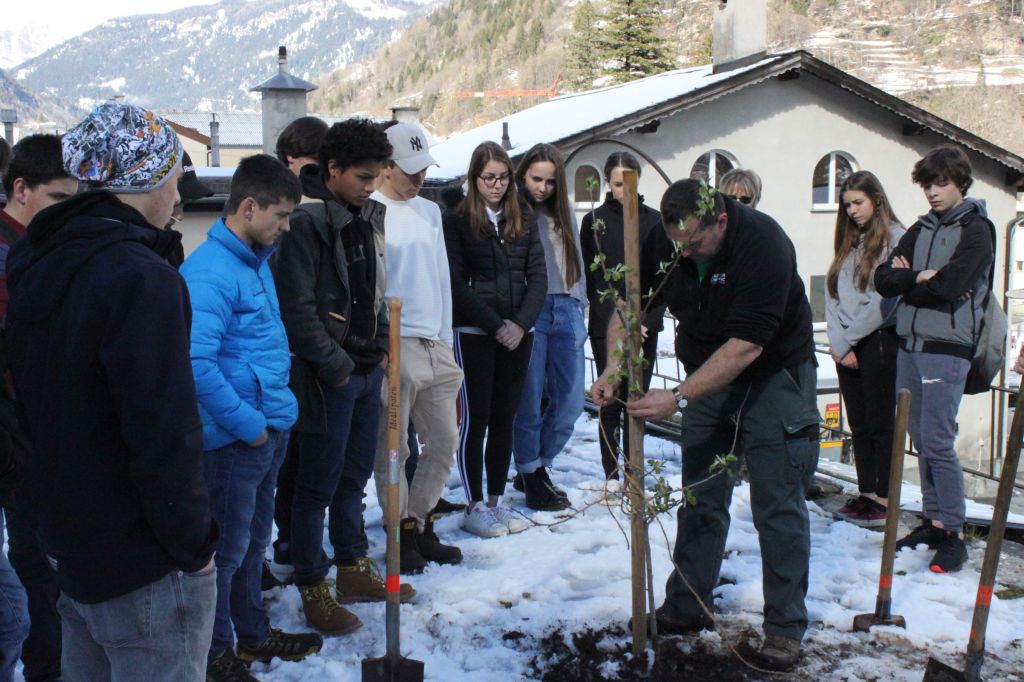 IMG_2769.jpg Res 1846 8051a5ebd5d400ff2718d77d74817a0d