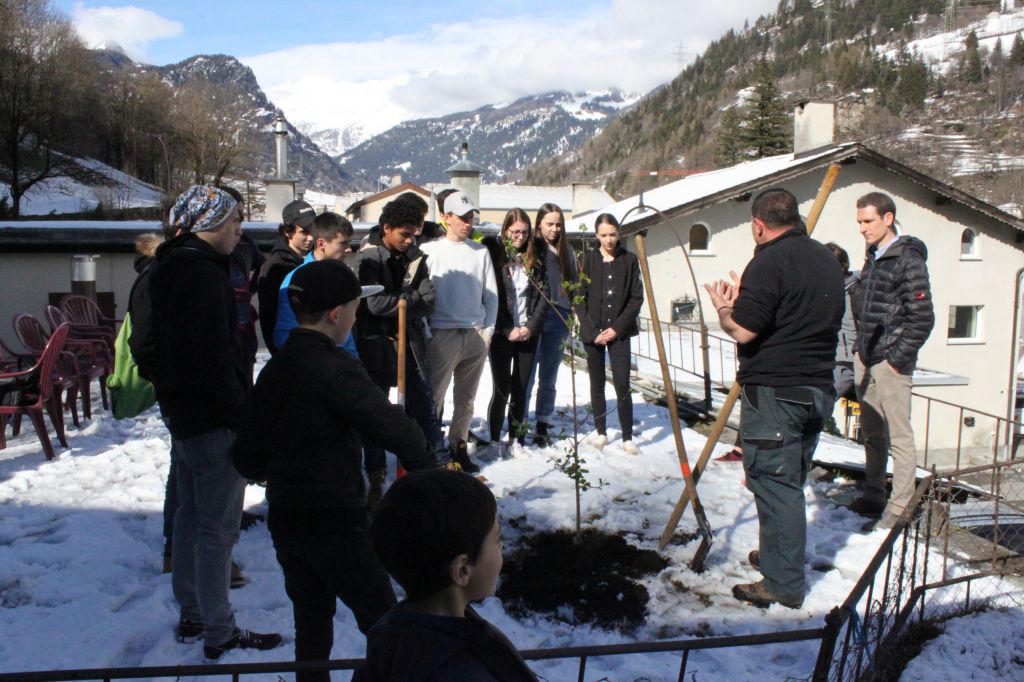 IMG_2761.jpg Res 1846 968e7657408e65503d339f1c42bc11ca