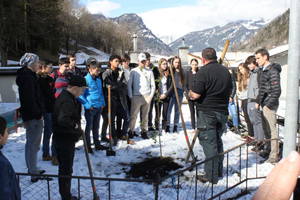 IMG_2763.jpg Res 1846 C4ec350e56266d1f06df332c00ccffce