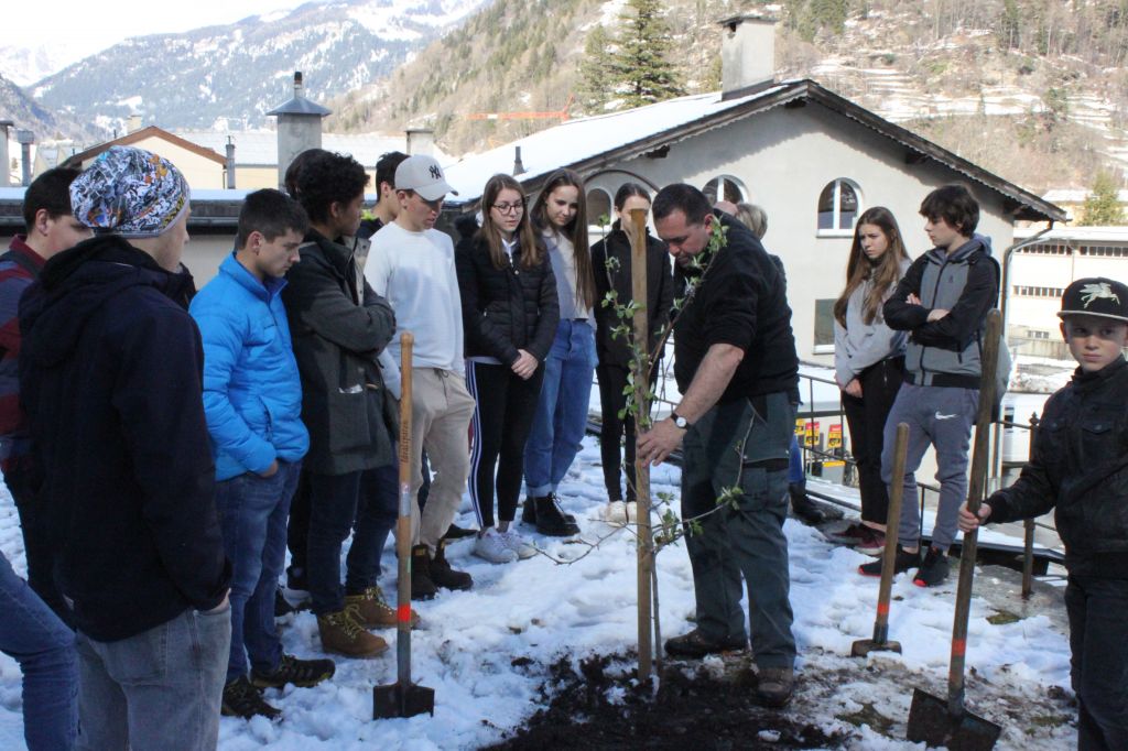 IMG_2764.jpg Res 1846 D66b4724be9e4d651c8f202132ba6c98