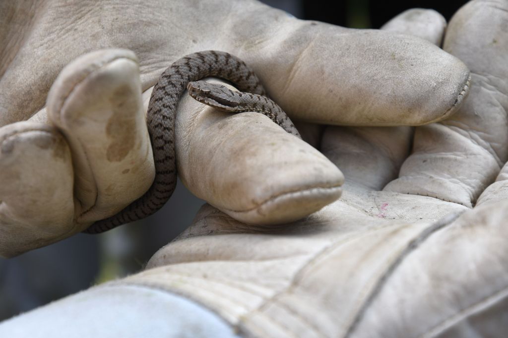 DSC_9818.jpg Res 2079 38e3e379a592ac00609fad86e2bb910f