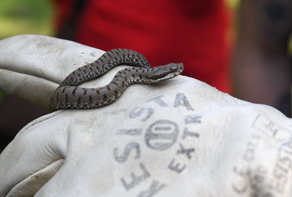 DSC_9736.jpg Res 2079 4f49f87197ff012fb9f0f2b3080ddaf6