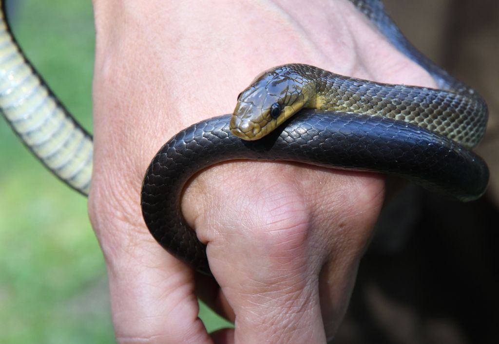 DSC_9894.jpg Res 2079 9952f7c28b3bc3a18467da9c87a26d10