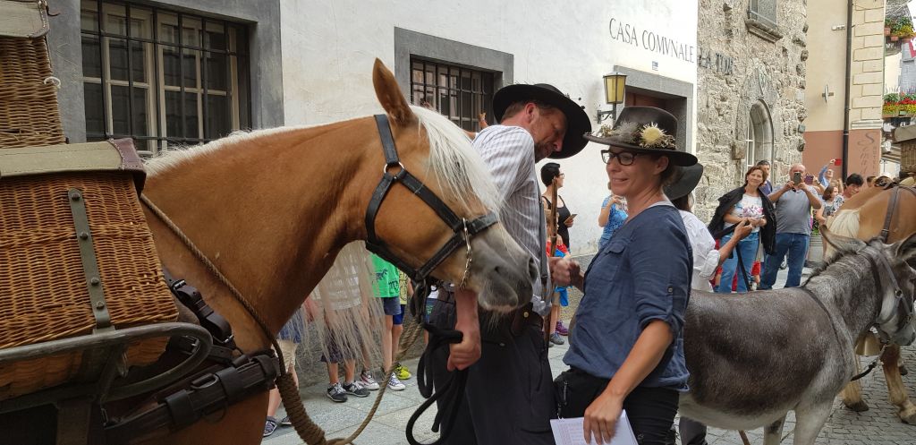 20190724_183758.jpg Res 2208 0d6616ebe37c79550eba7f531e193f56