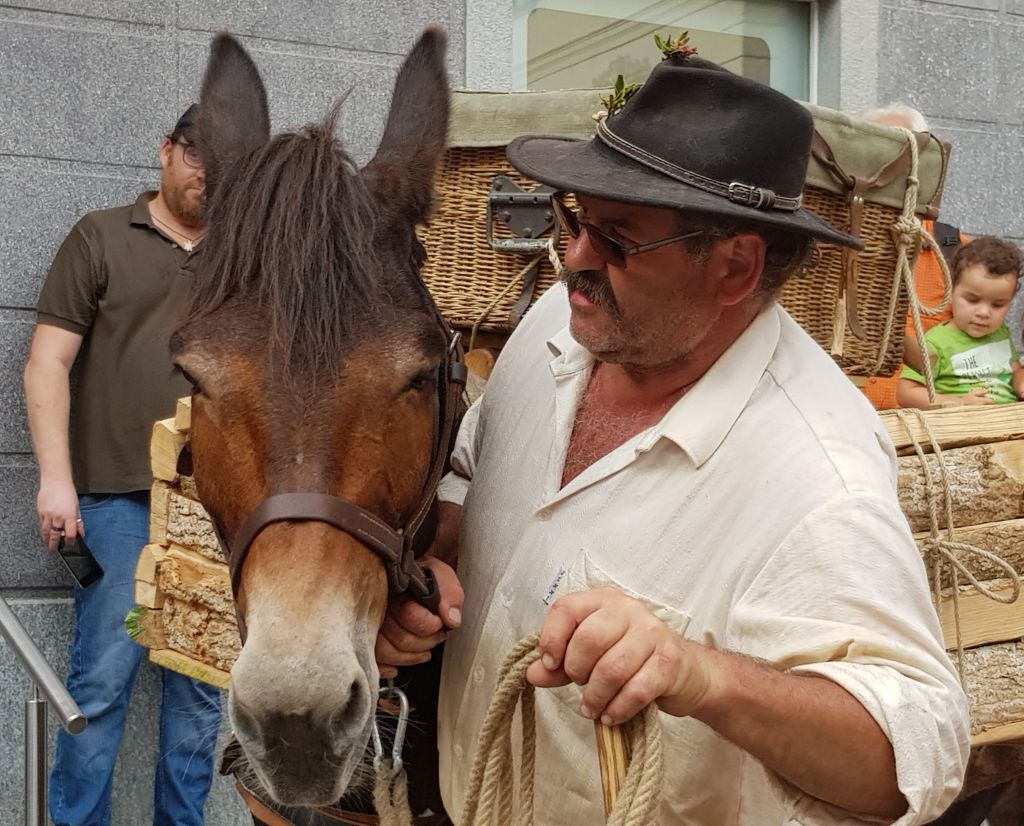 20190724_220035.jpg Res 2208 1c517158af8a5473d049b26f7c969246