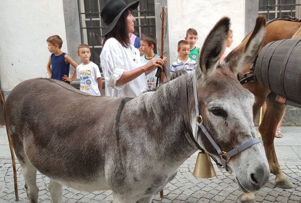 20190724_220353.jpg Res 2208 35c2dc8a0dd11dd203e3a1ef82199263