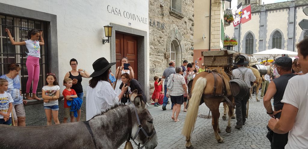 20190724_183809.jpg Res 2208 6442733a96e682c2e3df6d701e9081f4