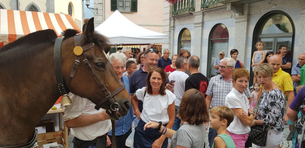 20190724_184757.jpg Res 2208 7a45ffcdb638bc6a3d60b7d6802b691f