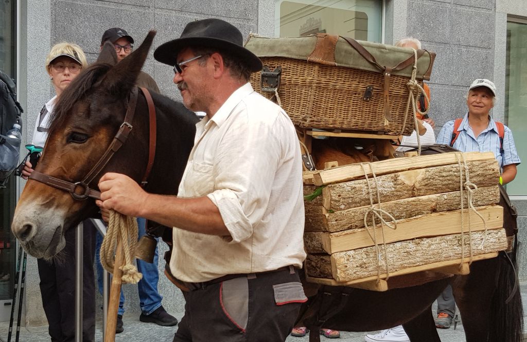 20190724_220010.jpg Res 2208 9c4592add3860b014030cc7f907edbdf