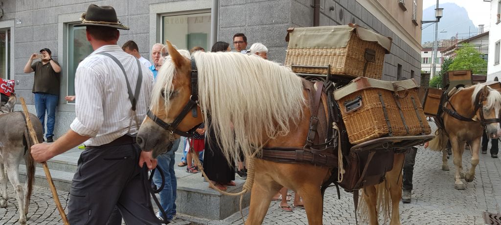 20190724_220208.jpg Res 2208 Cc7d83db74a6fbf48e89d3020e0154d2