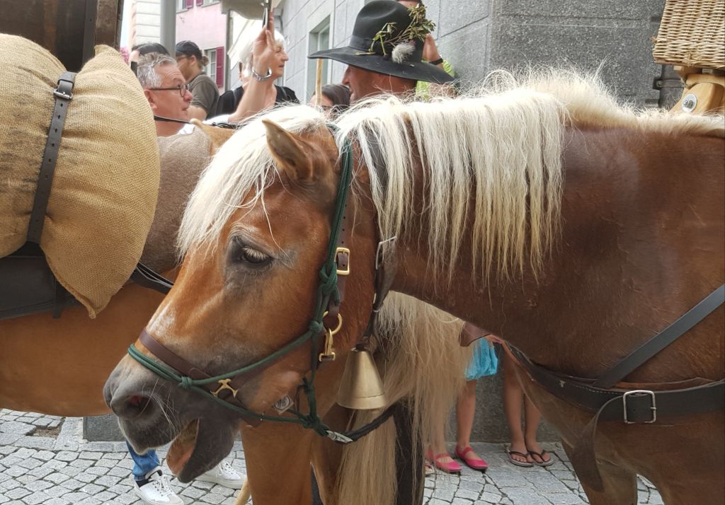 20190724_220313.jpg Res 2208 E98e763195cbe07f2b38b1f3c18216d3