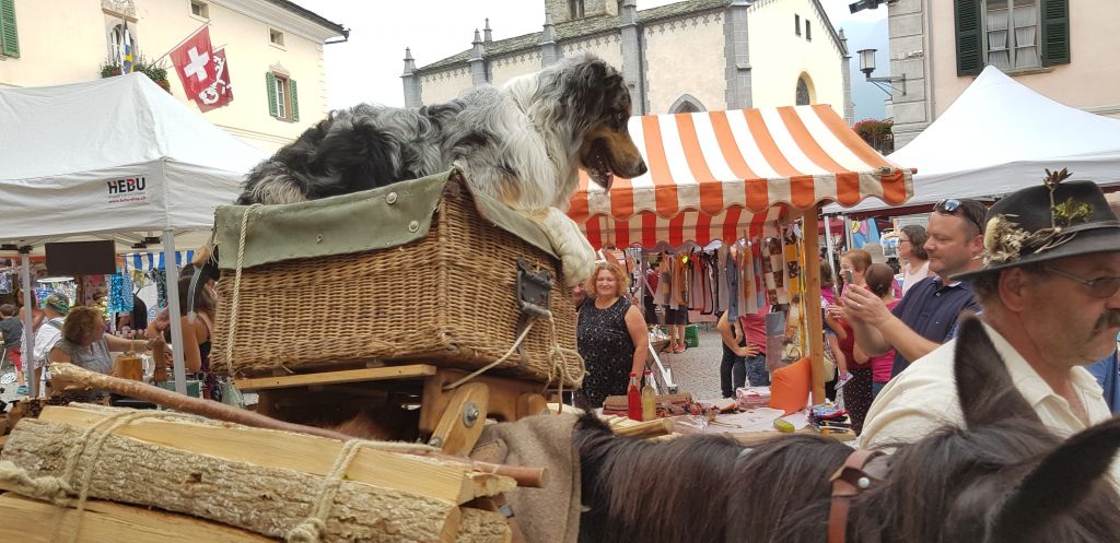 20190724_184839.jpg Res 2208 F9eaac052d798baf4fa43e3aa3ecd173