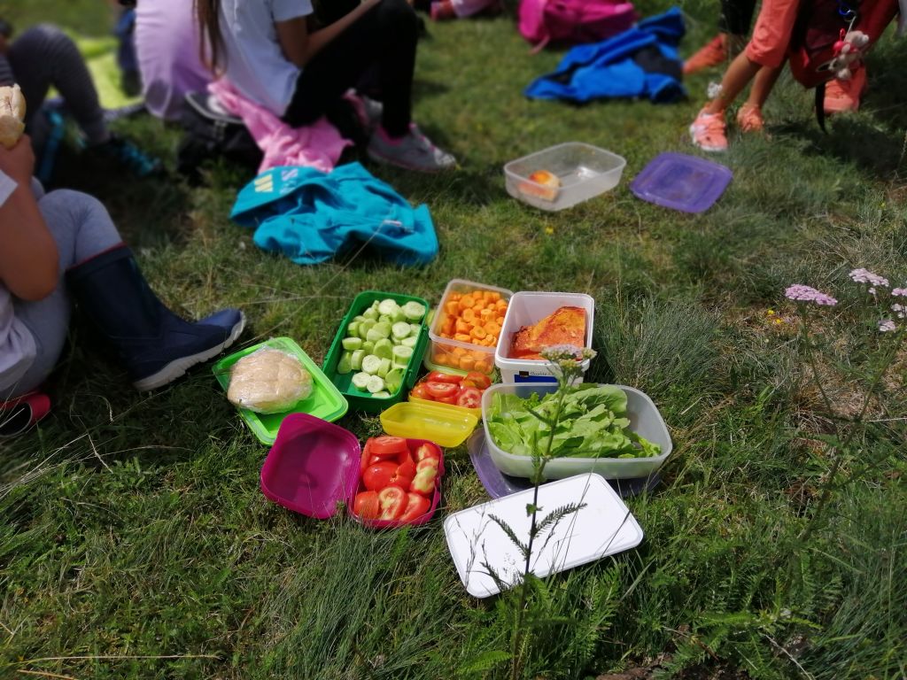 picknik al fiume.jpg Res 2278 45385ab2fa39183bbf1a383184b4e9d9